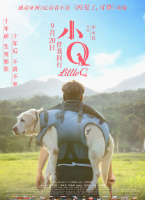 无夜精品久久久久久