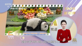69视频在线是免费观看